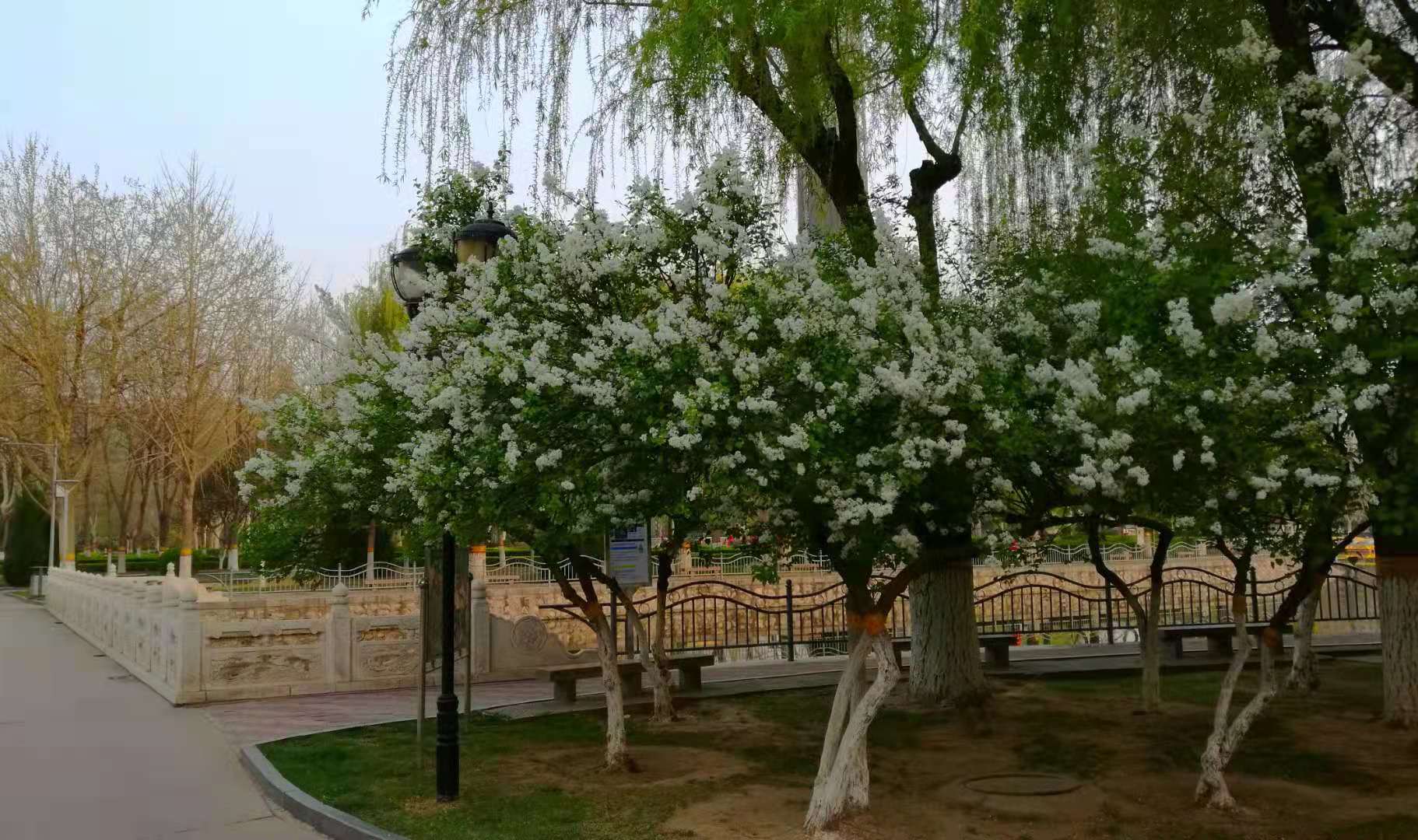 ΢��ͼƬ_20210330150904.jpg