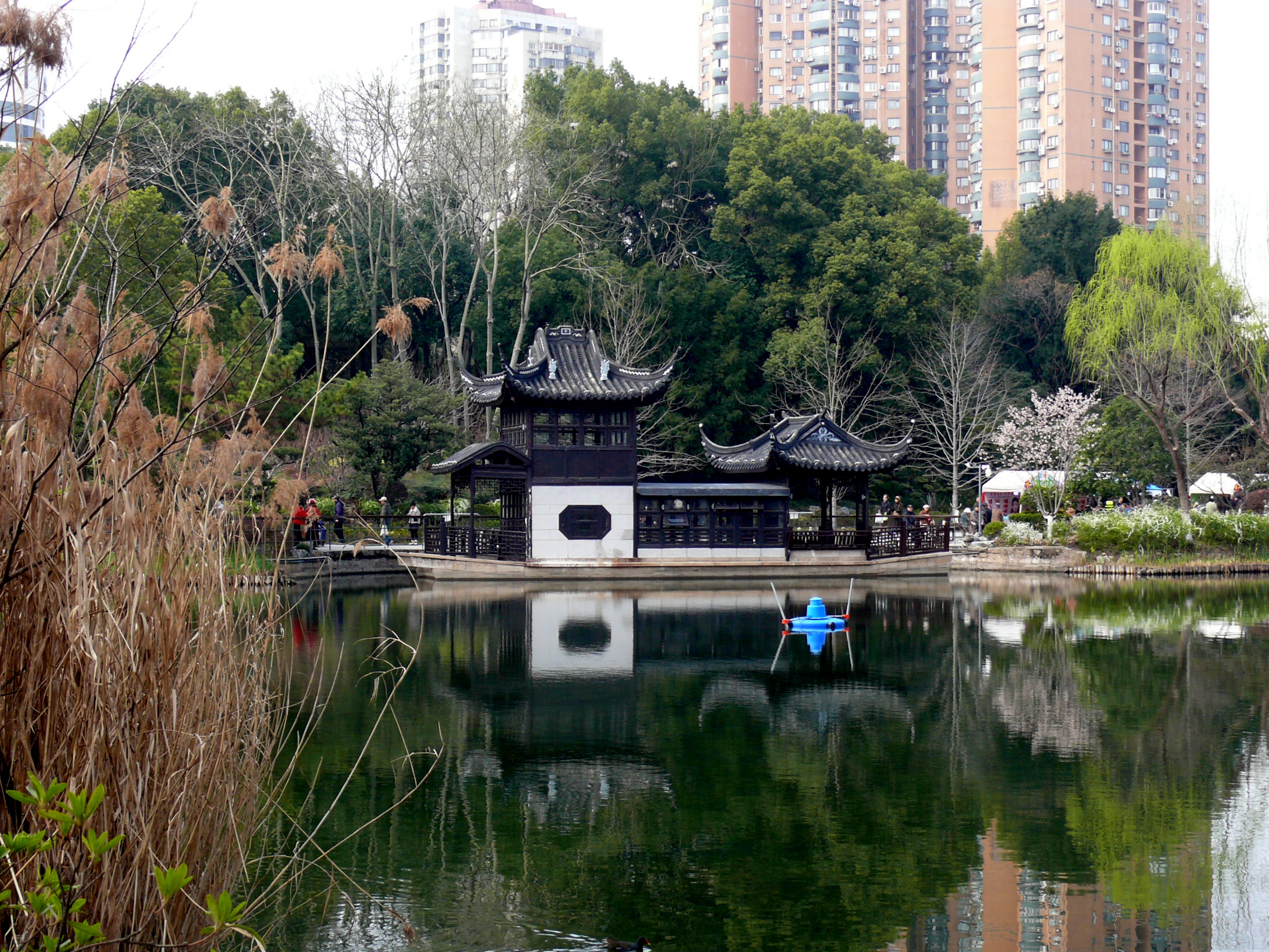 P1390357.JPG